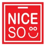 Logo NICESO